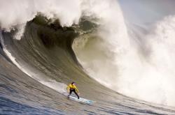 开云体育app-双冠王横扫网坛，德约科维奇在拉沃尔杯与年终总决赛的统治级表现