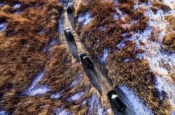 开云体育入口-一场激烈的对决打破现场寂静